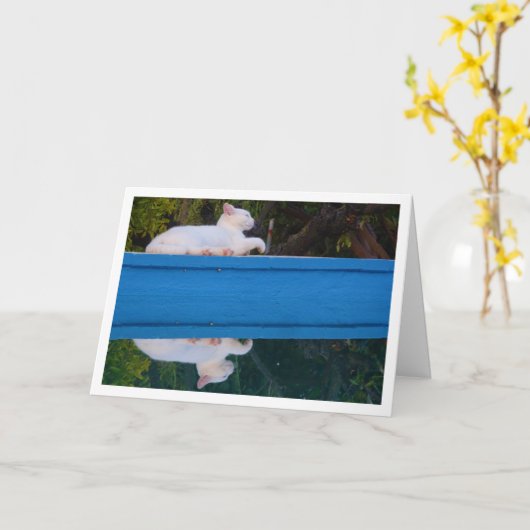 White Cat Reflection Card Kaart (Gele Bloem)