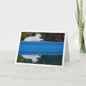 White Cat Reflection Card Kaart (Voorkant)