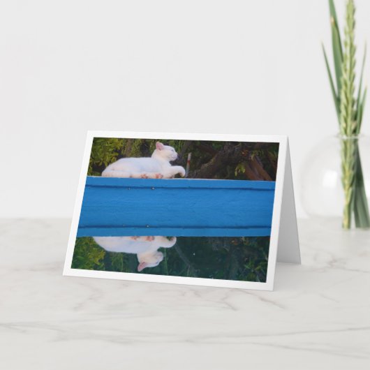 White Cat Reflection Card Kaart (Voorkant)