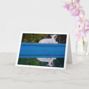 White Cat Reflection Card Kaart
