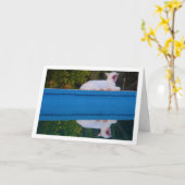White Cat Reflection Card Kaart (Gele Bloem)