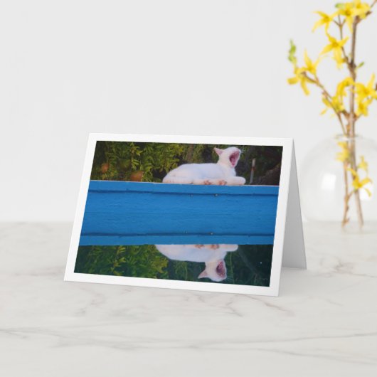 White Cat Reflection Card Kaart (Gele Bloem)