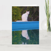 White Cat Reflection Portret Kaart (Voorkant)