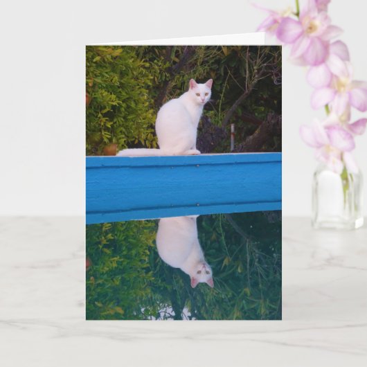 White Cat Reflection Portret Kaart (Orchidee)