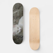 White Cat Skateboard (Voorkant)