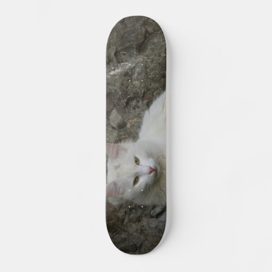White Cat Skateboard (Voorkant)