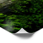 White Cat Trivia Perfect Poster (Hoek)