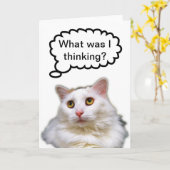 White Cat Verlate Verjaardag Humor Kaart (Gele Bloem)