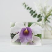 White Cattleya Orchid Flower Briefkaart (Staand voorkant)