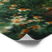 White Chamomile Flower Field Poster (Hoek)