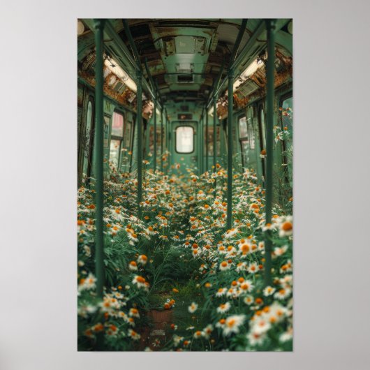 White Chamomile Flower Field Poster (Voorkant)
