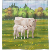 White Charolais Koe & Cute Calf Beef Cattle Douchegordijn (Voorkant)