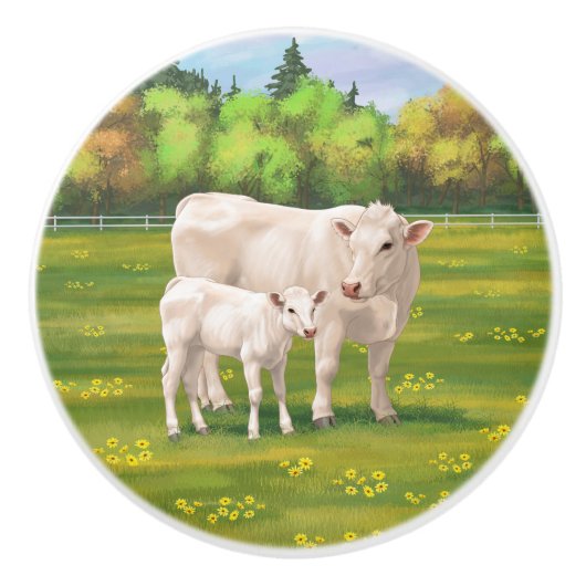 White Charolais Koe & Cute Calf Beef Cattle Keramische Knop (Voorkant)