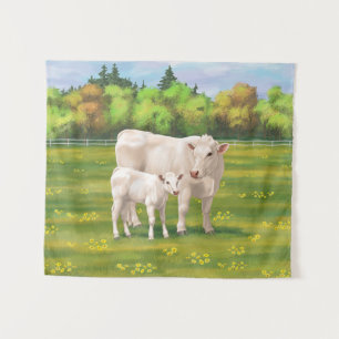 White Charolais Koe & Cute Calf Beef Cattle Wandkleed