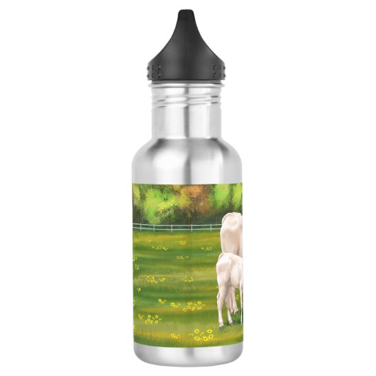 White Charolais Koe & Cute Calf Beef Cattle Waterfles (Links)