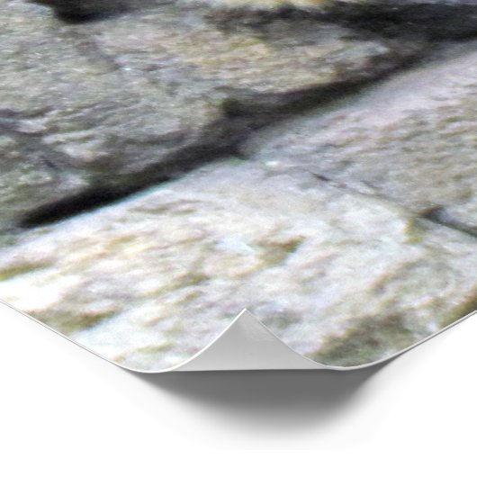 White Cheeked Gibbon (2264) Poster (Hoek)