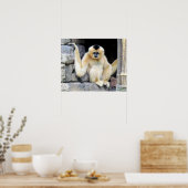 White Cheeked Gibbon (2264) Poster (Keuken)