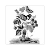 White Cheeked Starling Bramble Scrapbooking Rubberstempel (Afrduk)