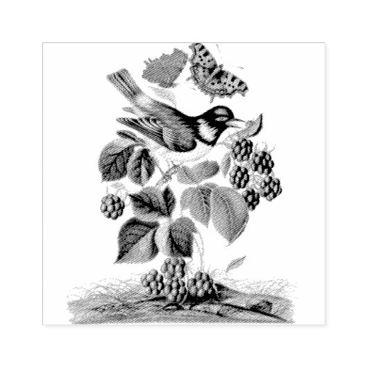 White Cheeked Starling Bramble Scrapbooking Rubberstempel (Afrduk)