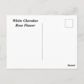 White Cherokee roos Briefkaart (Achterkant)
