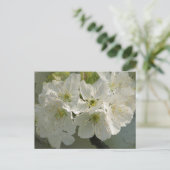 White Cherry Blossom Briefkaart (Staand voorkant)