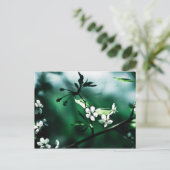 White Cherry Blossom Briefkaart (Staand voorkant)