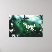 White Cherry Blossom Canvas Afdruk (Voorkant)