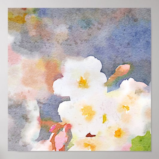 White Cherry Blossom Digital Waterverf Painting Poster (Voorkant)