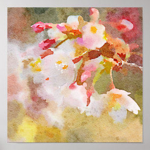 White Cherry Blossom Digital Waterverf Painting Poster