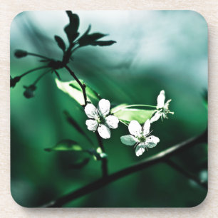 White Cherry Blossom Drankjes Onderzetter