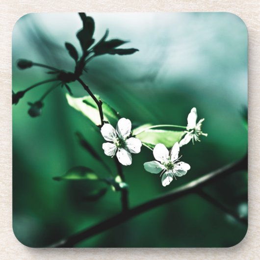 White Cherry Blossom Drankjes Onderzetter (Voorkant)