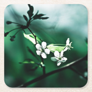 White Cherry Blossom Kartonnen Onderzetters