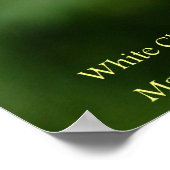 White Cherry Blossom Poster (Hoek)