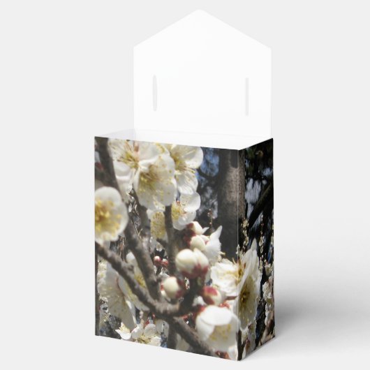 White Cherry Blossom / Sakura / サ ク ラ(桜) Bedankdoosjes (Geopend)