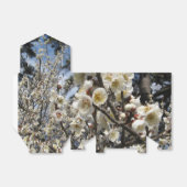 White Cherry Blossom / Sakura / サ ク ラ(桜) Bedankdoosjes (Uitgevouwen)