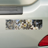 White Cherry Blossom / Sakura / サ ク ラ(桜) Bumpersticker (Op auto)