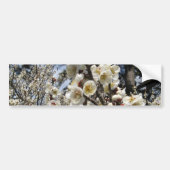 White Cherry Blossom / Sakura / サ ク ラ(桜) Bumpersticker (Voorkant)