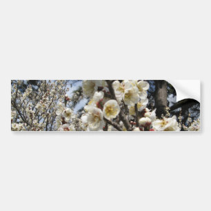 White Cherry Blossom / Sakura / サ ク ラ(桜) Bumpersticker
