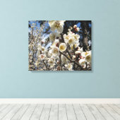 White Cherry Blossom / Sakura / サ ク ラ(桜) Canvas Afdruk (Insitu (Houten vloer))