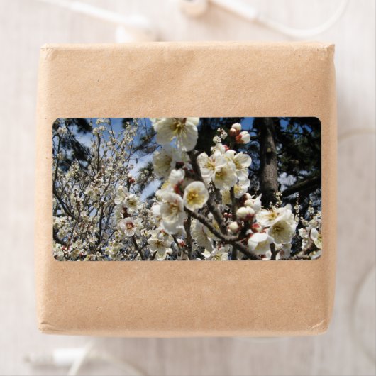 White Cherry Blossom / Sakura / サ ク ラ(桜) Etiket (Insitu)