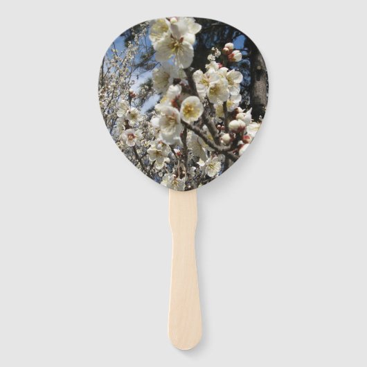 White Cherry Blossom / Sakura / サ ク ラ(桜) Handwaaier (Voorkant)