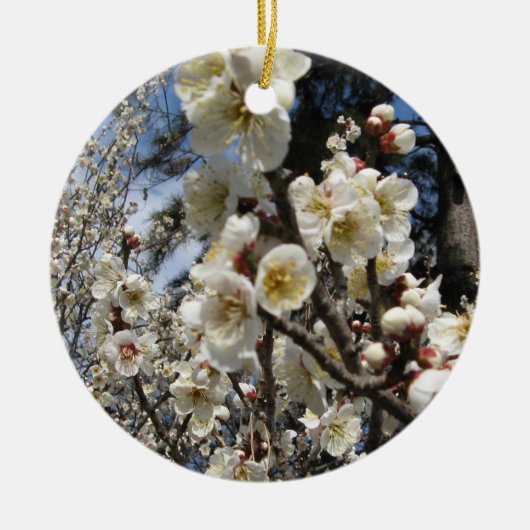 White Cherry Blossom / Sakura / サ ク ラ(桜) Keramisch Ornament (Voorkant)