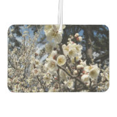White Cherry Blossom / Sakura / サ ク ラ(桜) Luchtverfrisser (Achterkant)