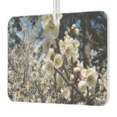 White Cherry Blossom / Sakura / サ ク ラ(桜) Luchtverfrisser (Links)