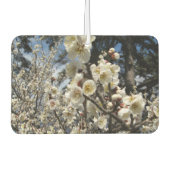 White Cherry Blossom / Sakura / サ ク ラ(桜) Luchtverfrisser (Voorkant)