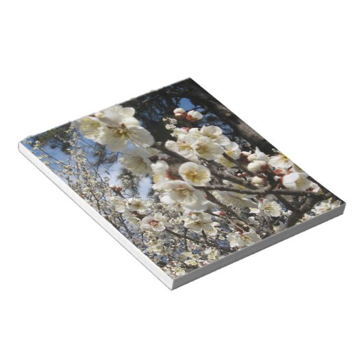 White Cherry Blossom / Sakura / サ ク ラ(桜) Notitieblok (Schuin)