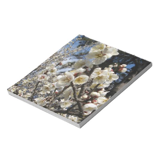 White Cherry Blossom / Sakura / サ ク ラ(桜) Notitieblok (Linkerzijde)