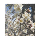White Cherry Blossom / Sakura / サ ク ラ(桜) Notitieblok (Voorkant)