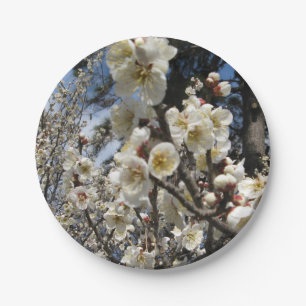 White Cherry Blossom / Sakura / サ ク ラ(桜) Papieren Bordje
