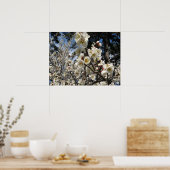 White Cherry Blossom / Sakura / サ ク ラ(桜) Poster (Keuken)